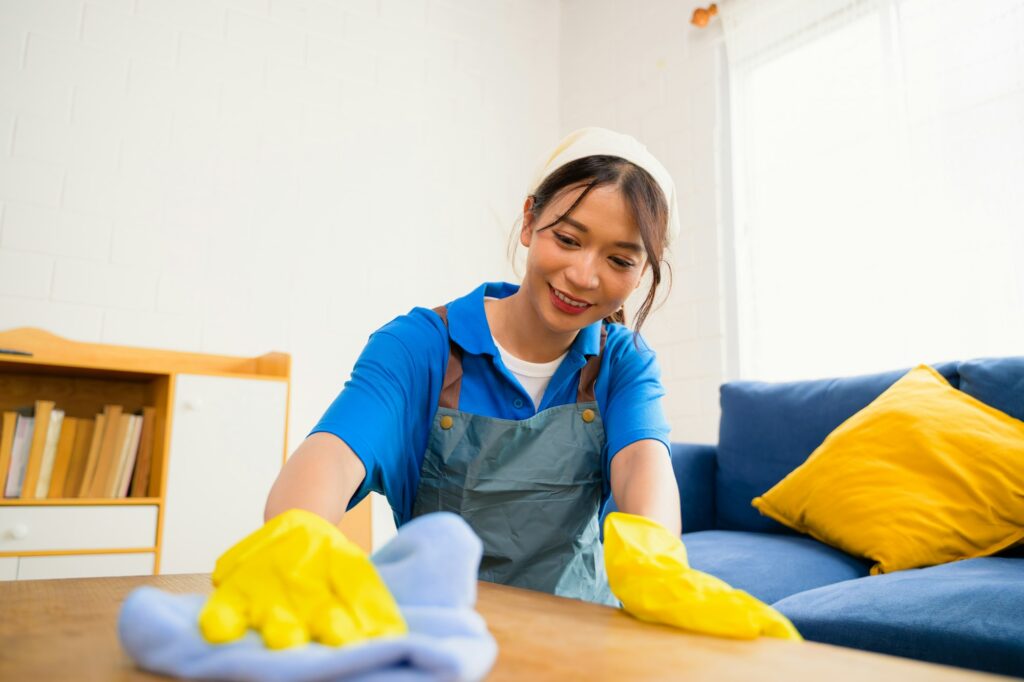 Happy woman cleaning house, Housekeeping and cleaning service, People doing housework at home